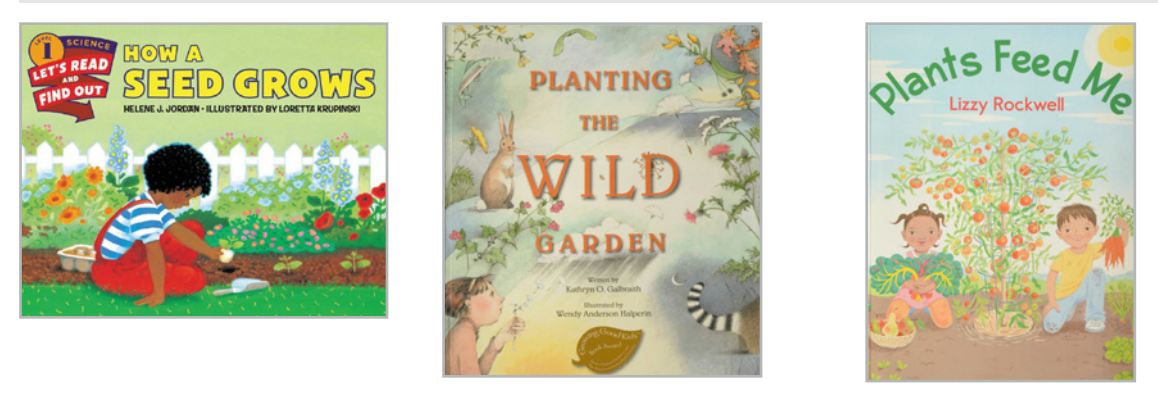 Twig Science First Grade Trade Books Complete Set