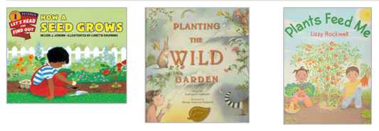 Twig Science First Grade Trade Books Complete Set