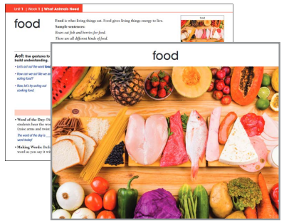 Benchmark Education Kindergarten Box 13 (Express! Teacher Package)