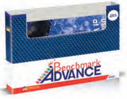Benchmark Education First Grade Box 9 (Whole Group Big Books)