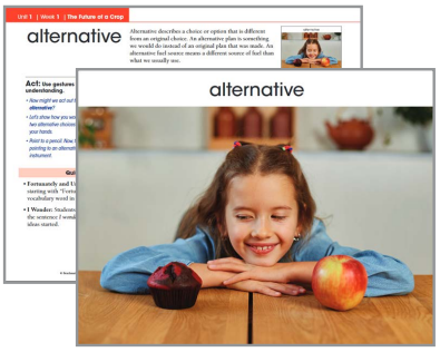 Benchmark Education Fifth Grade Box 10 (Express! Teacher Package)