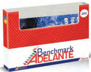 Benchmark Education First Grade Box 9 (Whole Group Big Books, Spanish)